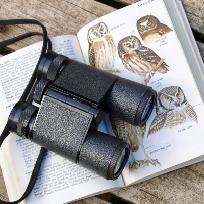 diane-helentjaris-S8wI7myzAjE-unsplash