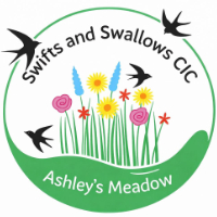 graphic of a hnd holding flowers and the words ashleys meadow